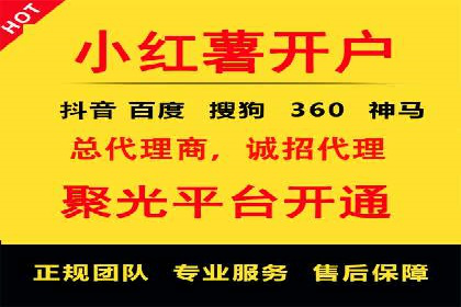 百度竞价与搜索引擎优化（SEO）结合的经典案例